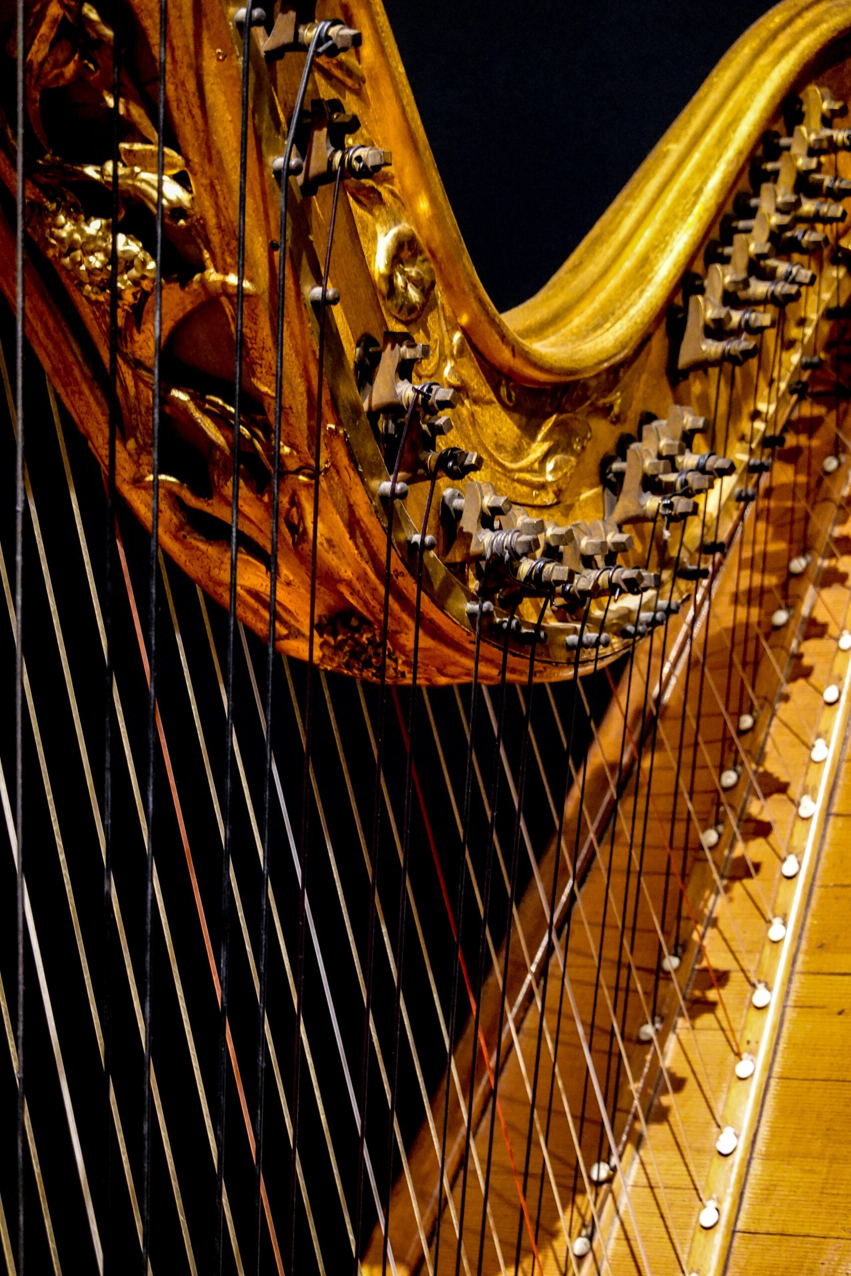 Bild einer Harfe
